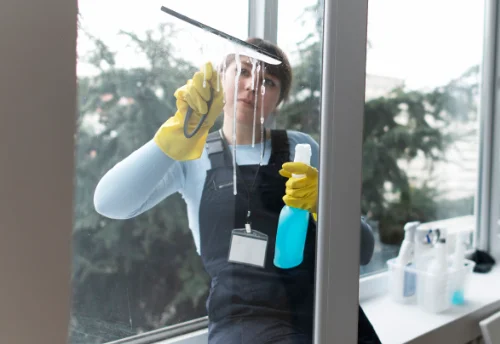 Nettoyage de vitres intérieures et extérieures à Mazeray